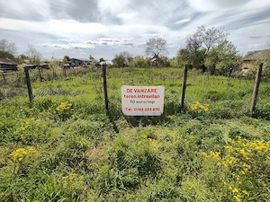 Liniște și dezvoltare 