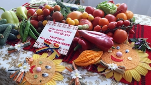 Vand rasad ardei, rosii, castraveti, vinete, varza | Rasaduri Legume