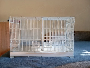 Colivie de papagali nimfe sau perusi