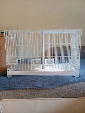 Colivie de papagali nimfe sau perusi - imagine 2