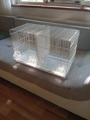 Colivie de papagali nimfe sau perusi - imagine 3