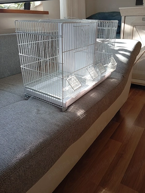 Colivie de papagali nimfe sau perusi - imagine 4