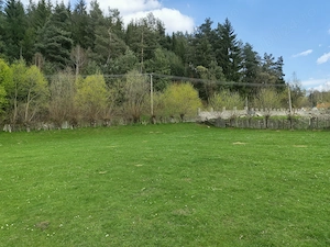 Teren 719mp la liziera pădurii- Întorsura Buzăului (Utilități incluse) - imagine 2