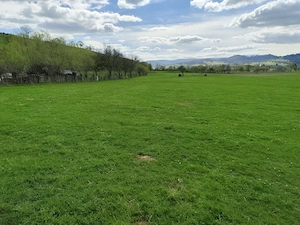 Teren 719mp la liziera pădurii- Întorsura Buzăului (Utilități incluse) - imagine 3