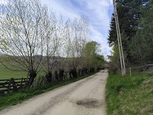 Teren 719mp la liziera pădurii- Întorsura Buzăului (Utilități incluse) - imagine 4