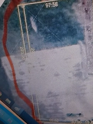 Teren intravilan la 20km de Oradea