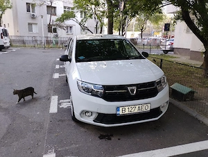 vanzari logan - imagine 5