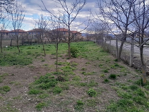 Vând teren generos 1251 mp cu casă veche, in centrul com.Mihai Viteazu, jud.Cluj - imagine 5