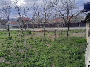 Vând teren generos 1251 mp cu casă veche, in centrul com.Mihai Viteazu, jud.Cluj - imagine 6