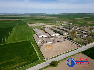 ID 7905 Oportunitate investiție agro-industrială - EXCLUSIVITATE - imagine 2