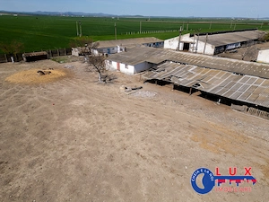 ID 7905 Oportunitate investiție agro-industrială - EXCLUSIVITATE - imagine 13