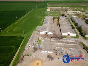 ID 7905 Oportunitate investiție agro-industrială - EXCLUSIVITATE - imagine 5