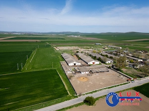 ID 7905 Oportunitate investiție agro-industrială - EXCLUSIVITATE - imagine 6