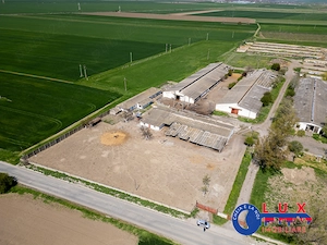 ID 7905 Oportunitate investiție agro-industrială - EXCLUSIVITATE - imagine 3
