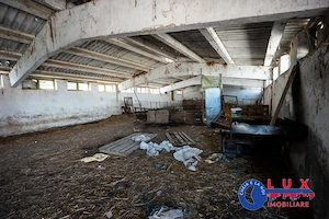 ID 7905 Oportunitate investiție agro-industrială - EXCLUSIVITATE - imagine 19