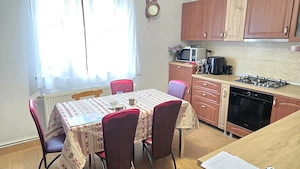 Vand casa in Deva, S+P+M + filigorie, zona Viile Noi (str. Luncii), suprafata totala de teren 559 mp - imagine 7