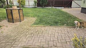 Vand casa in Deva, S+P+M + filigorie, zona Viile Noi (str. Luncii), suprafata totala de teren 559 mp - imagine 3