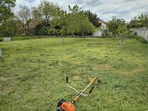 Tuns Gazon și Defrișări Terenuri - imagine 4