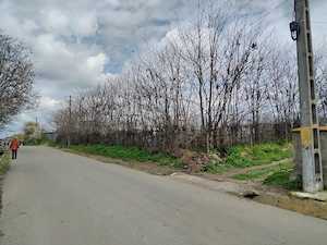 ULTRACENTRAL- OCAZIE UNICA- Teren parcelabil 1801 mp + casa vara in Ijdileni jud Galati - imagine 10