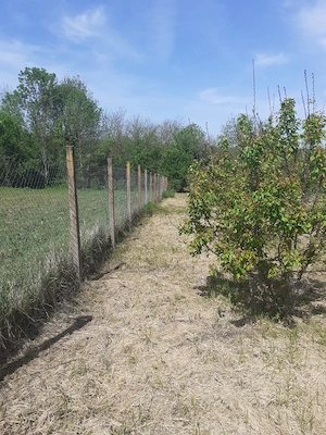 Casă de vânzare Vișag - imagine 8