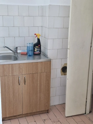 Piatea Craiului langa Opera - imagine 3