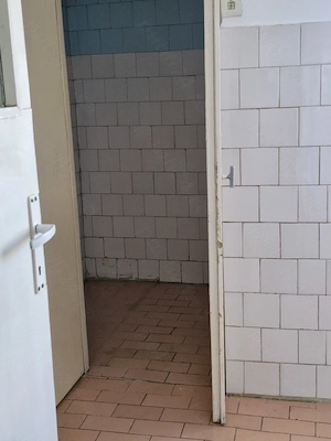 Piatea Craiului langa Opera - imagine 2