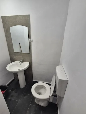 Cazare Muncitori Lugoj - firme   echipe   santiere - imagine 5