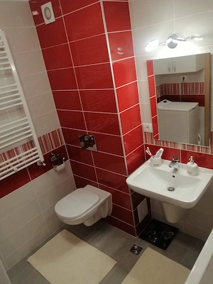 Apartament 2 camere de inchiriat - imagine 8