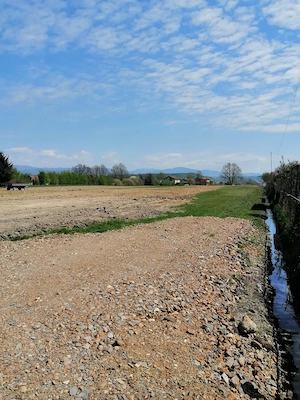 Vând 4 parcele de teren intravilan in Coltău,pe strada Magnoliei,de 11 Ari și unul de 12.43 - imagine 2