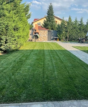 Amenajăm spati verzi oriunde in tara  - imagine 2