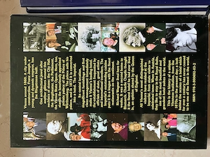 The Most Famous Hotels in the World: Hotel Imperial Viena si St Regis Rome - Andreas Augustin - imagine 2