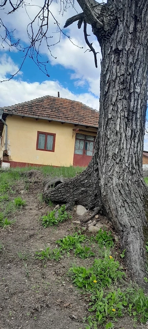 De vânzare casă bătrânească și teren în zona de munte 