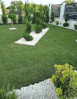 Amenajăm spati verzi oriunde in tara  - imagine 4