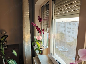 Apartament 2 camere decomandat - imagine 2