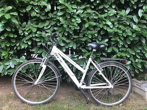 Vand bicicleta adulti aluminium prophete REX 