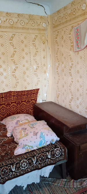 Casa la țara jud. Giurgiu, 4 camere, curte 4000 mp - imagine 6