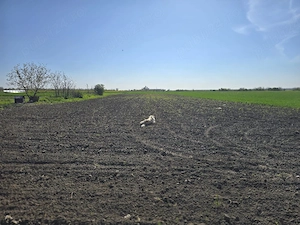 Vand teren intravilan