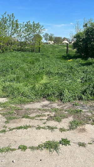 Proprietate generoasă, teren 6000 mp   ideală pentru familie extinsă sau investiție - imagine 3