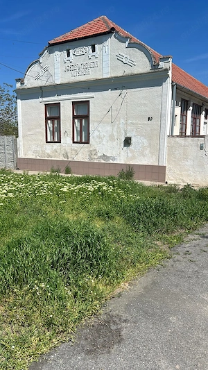 Proprietate generoasă, teren 6000 mp   ideală pentru familie extinsă sau investiție - imagine 2