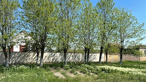 Proprietate generoasă, teren 6000 mp   ideală pentru familie extinsă sau investiție - imagine 5