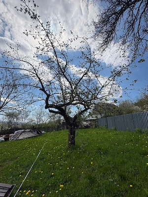 Constructie cu utilitati+teren 285 mp Barajul Paltinu-Valea Doftanei - imagine 3