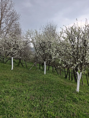 Vanzare teren si casa