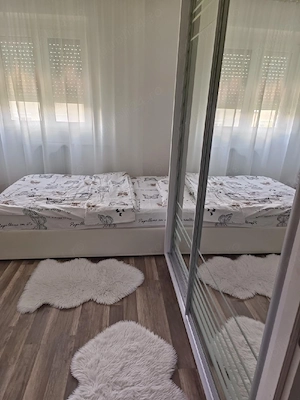 ap 2 cam nufarul x mare - imagine 4