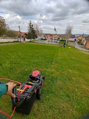 Întreținere grădini   curățare teren   tuns gazon   Sibiu