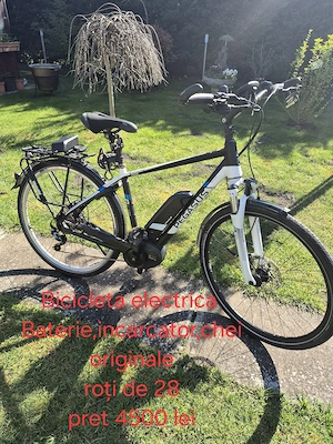 vand biciclete electrice 