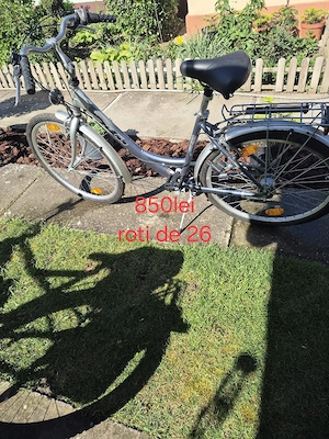 Bicicleta dama