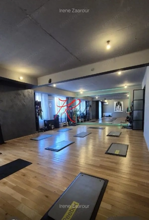 Inchiriere spatiu open space Eminescu - imagine 14