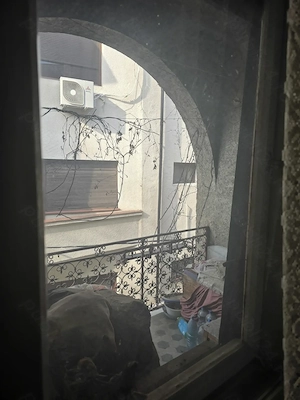 Proprietar direct: Apartament 4 camere în casă naționalizată Ploiești - imagine 6