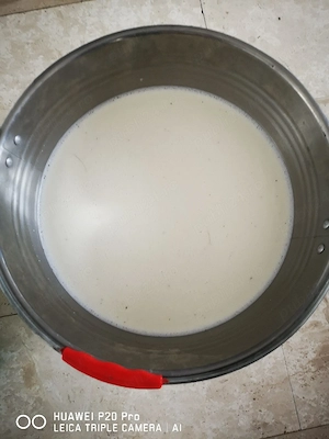 Lapte proaspăt și iaurt de Capră  - imagine 3