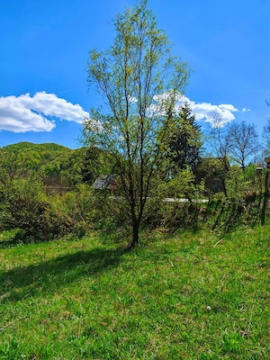 Teren INTRAVILAN loc. Sultanu_Visinesti, (1.20 h Bucuresti, 15 min Provita_Breaza, 30 min Campina) - imagine 9